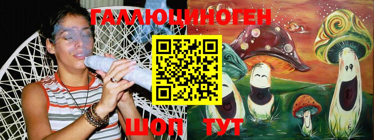 Кудрово  Галлюциногенные грибы MAGIC MUSHROOMS  Вход с VPN 